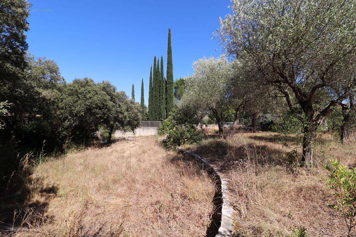 Terrain constructible Boisseron - photo 2