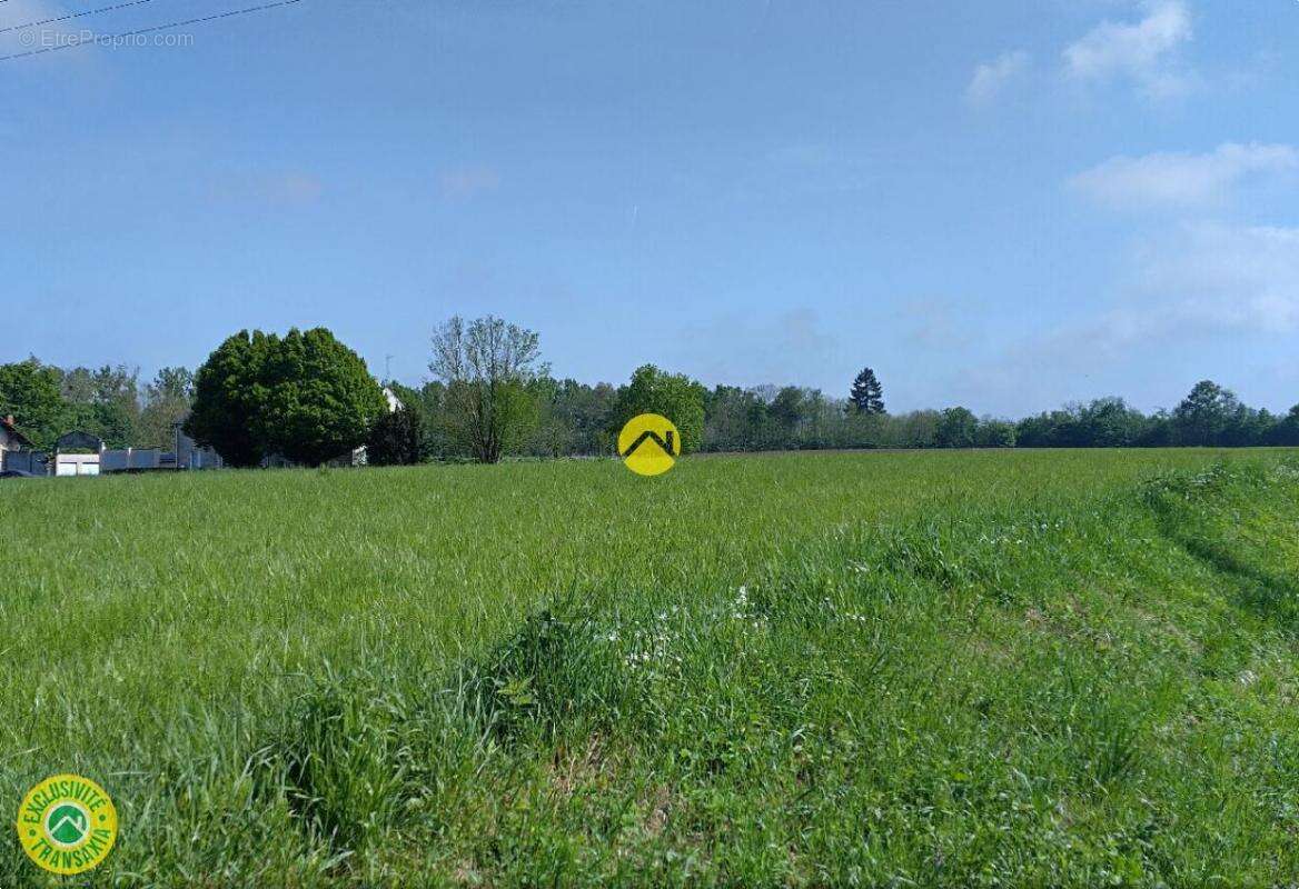 Terrain à CHATEAUROUX