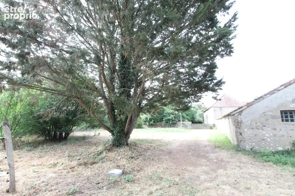 Maison acadienne - 3 chambres + studio independant - dependances et terrain - photo 21