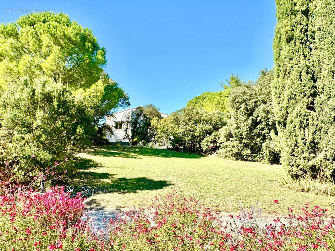 Terrain à LES MATELLES