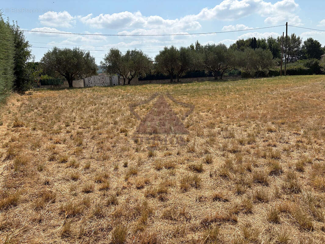 Magnifique Terrain à batir - photo 6
