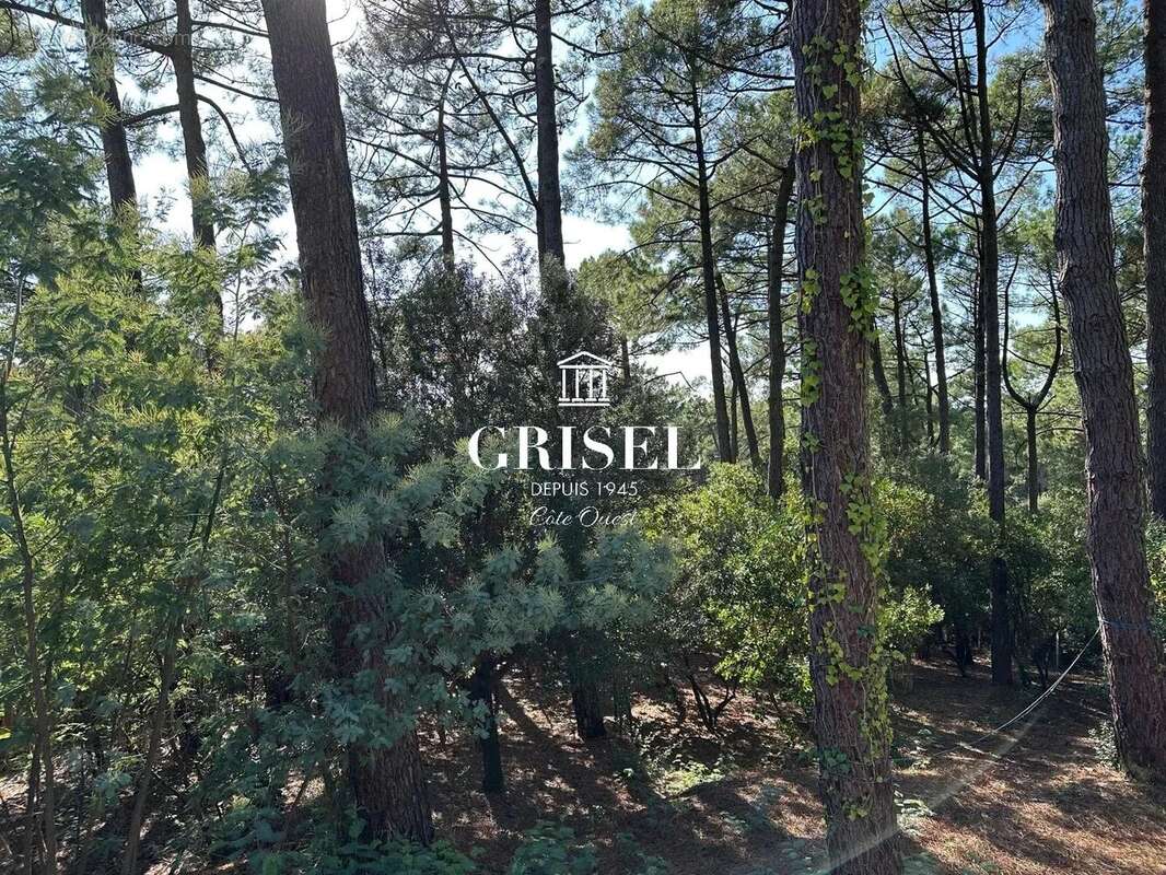 Maison à LEGE-CAP-FERRET