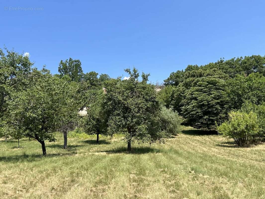 EXCLUSIVITÉ Maison en pierre 335m2 avec 1ha - 04 Alpes-de-Haute-Provence - photo 48