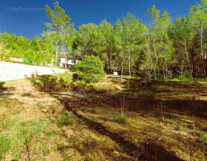 Terrain à POURRIERES