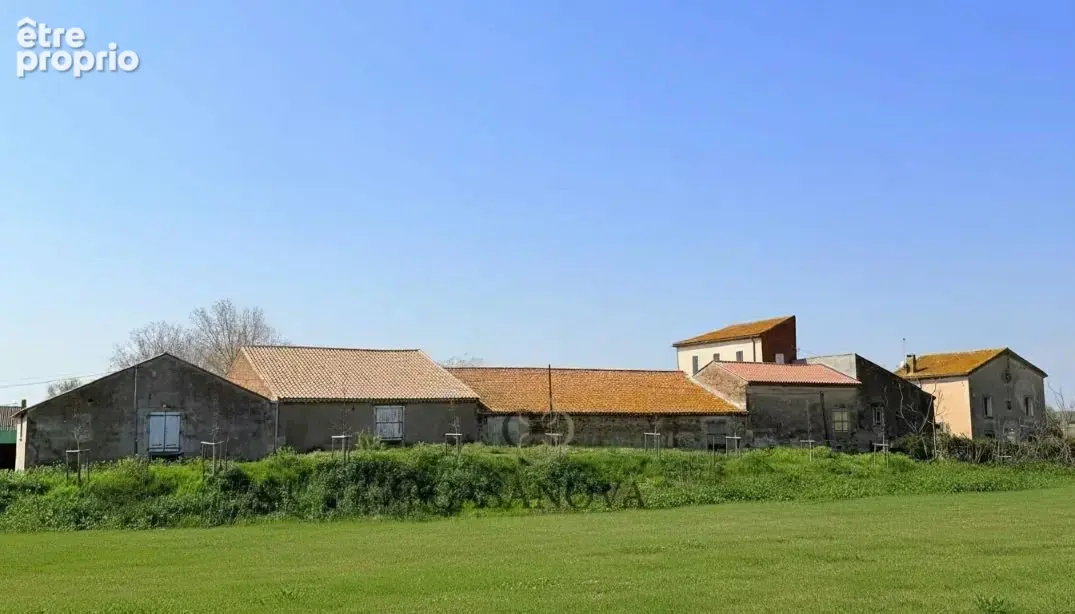 Propriété de charme 600 m² Canal du Midi avec piscine et dépendances  environnement naturel proche mer - photo 3