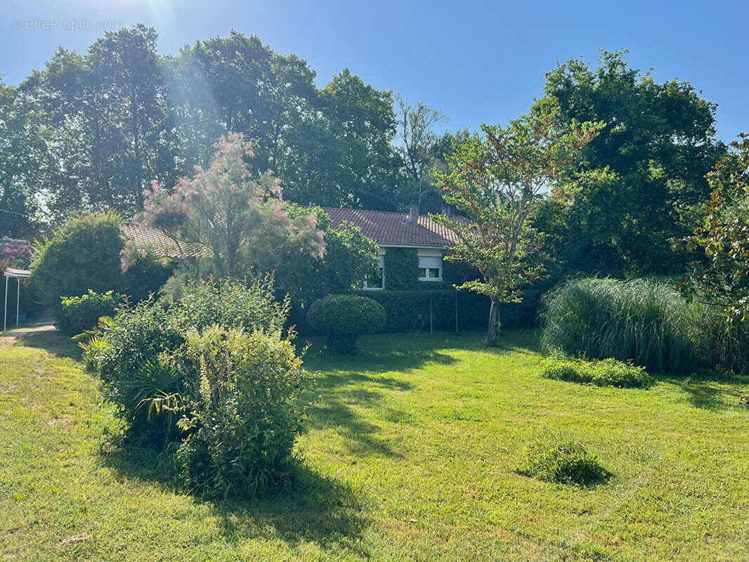 Maison à LIBOURNE