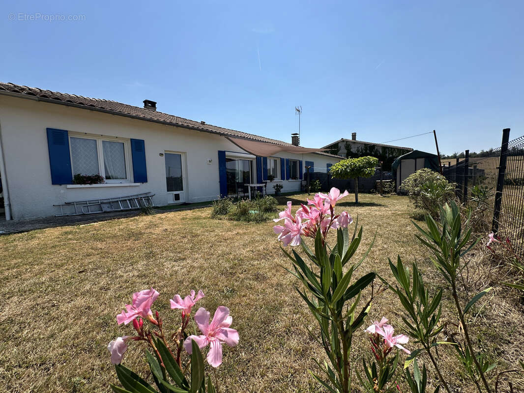 Ensemble immobilier rénové comprenant une maison principale et un gîte avec piscine - photo 11