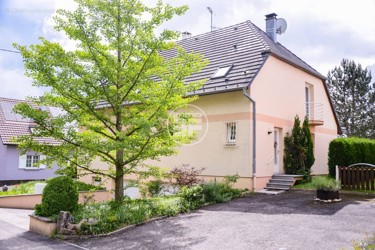 Maison à SIERENTZ