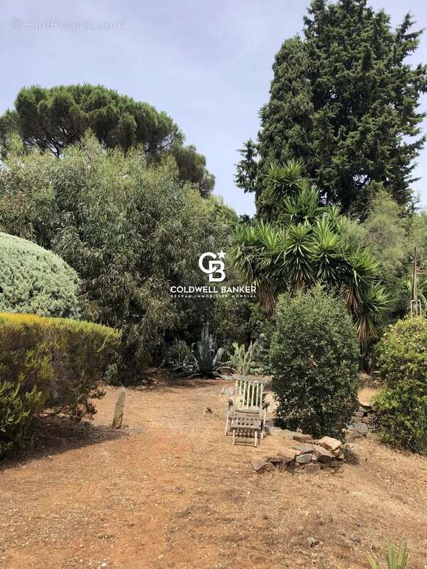 Terrain à LA CROIX-VALMER