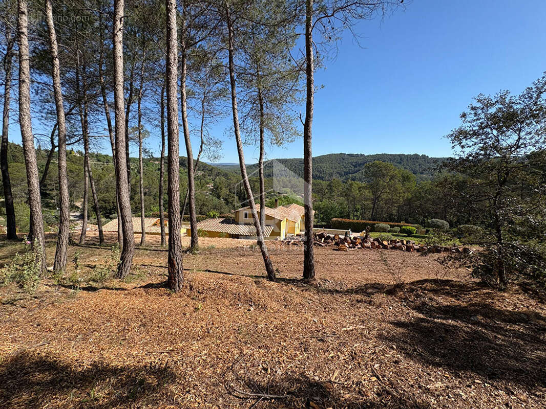 Terrain à TARADEAU