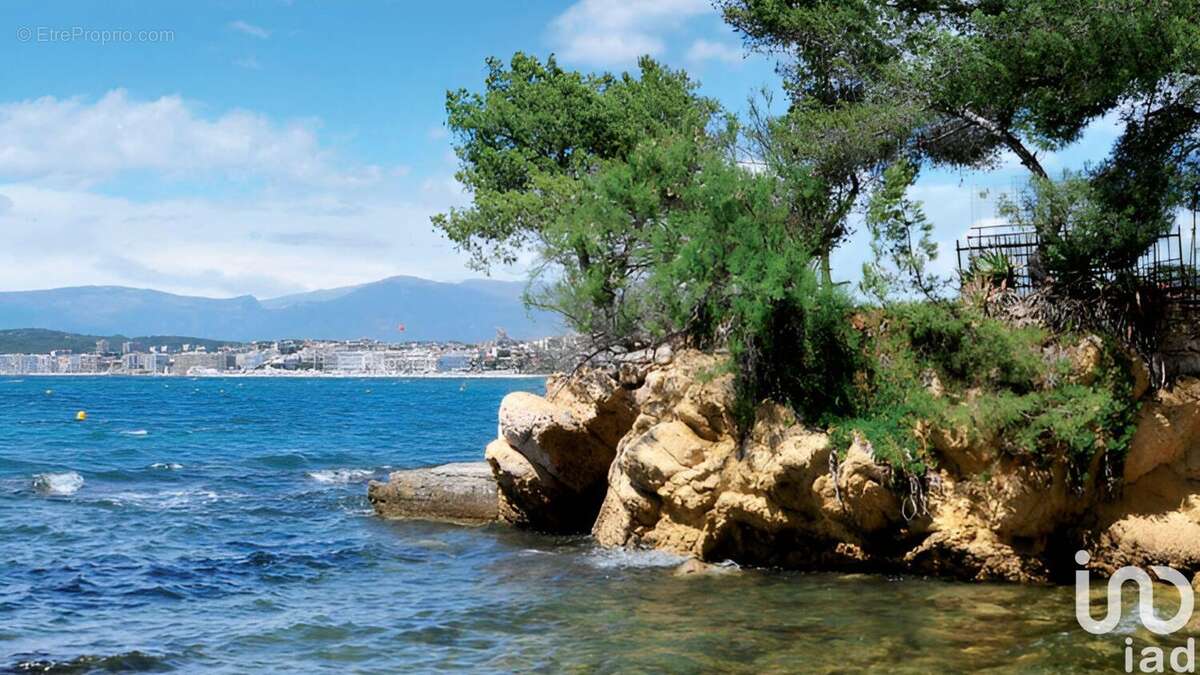 Photo 8 - Appartement à VALLAURIS