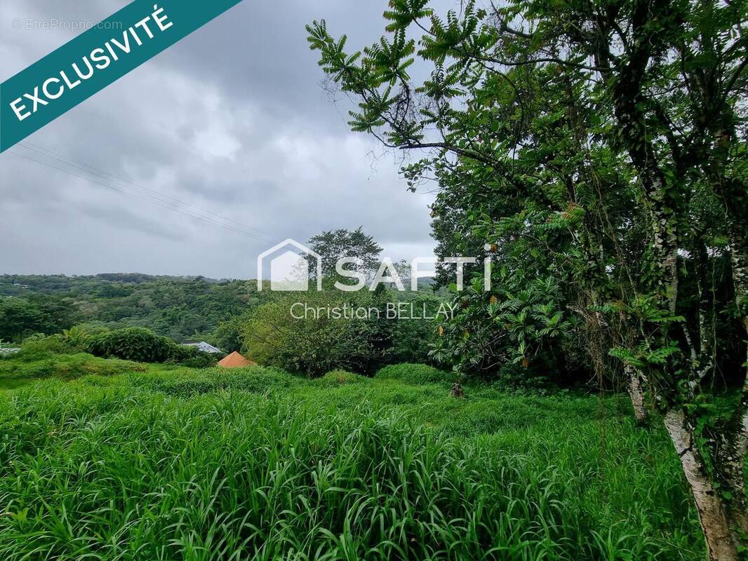 Photo 1 - Terrain à LE LAMENTIN