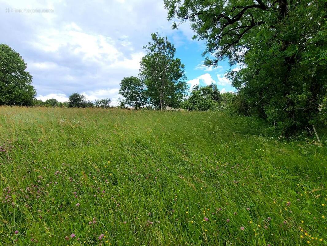 Photo 1 - Terrain à LONGCOCHON