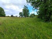 Photo 1 - Terrain à LONGCOCHON