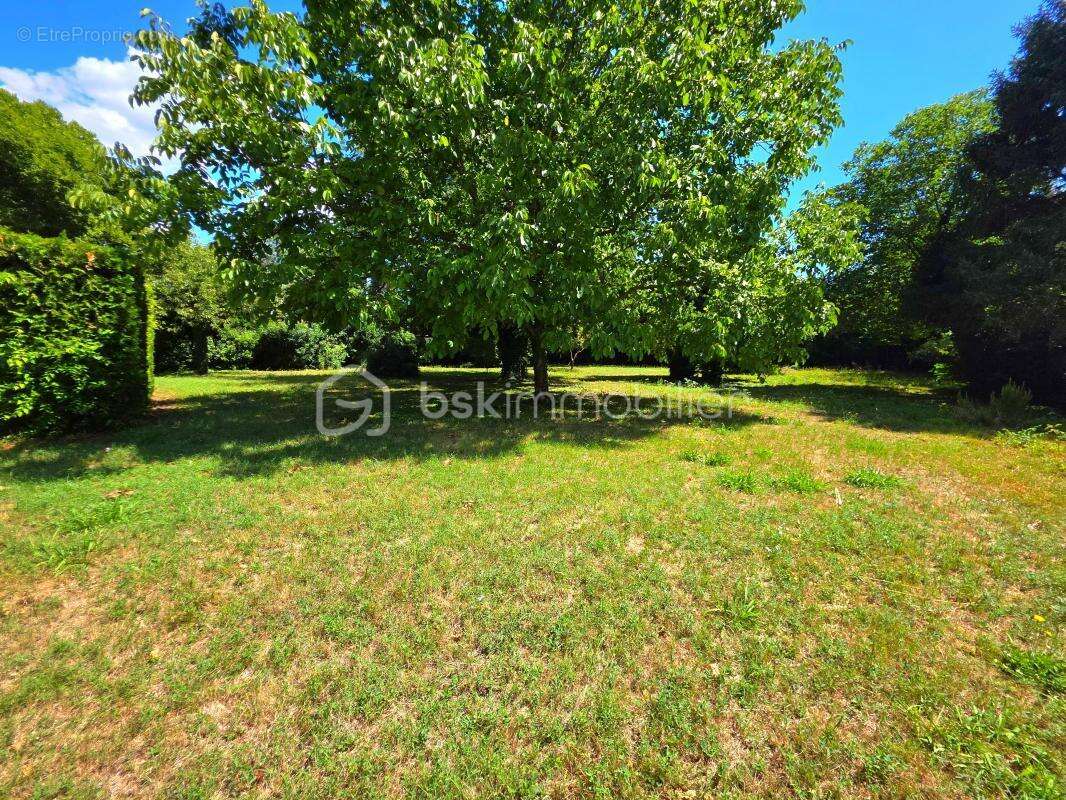 Maison à PIERRELATTE