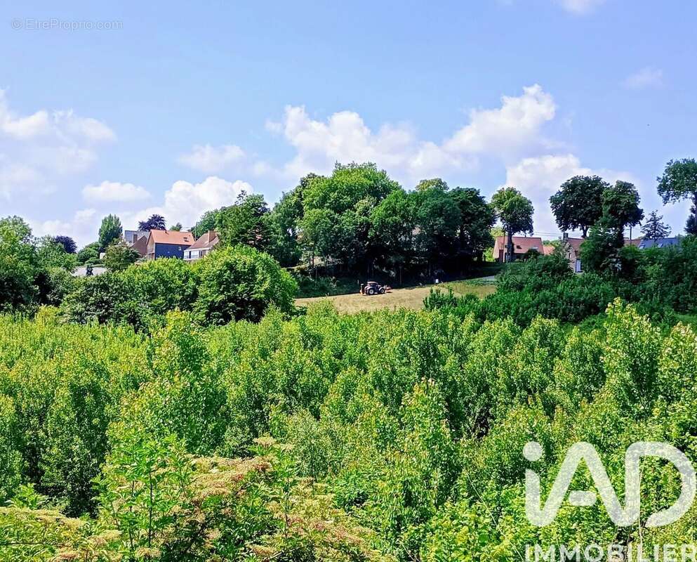 Photo 2 - Terrain à CASSEL