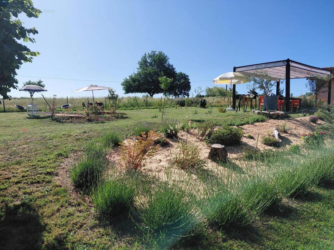 Photo 1 - Maison à LA PACAUDIERE