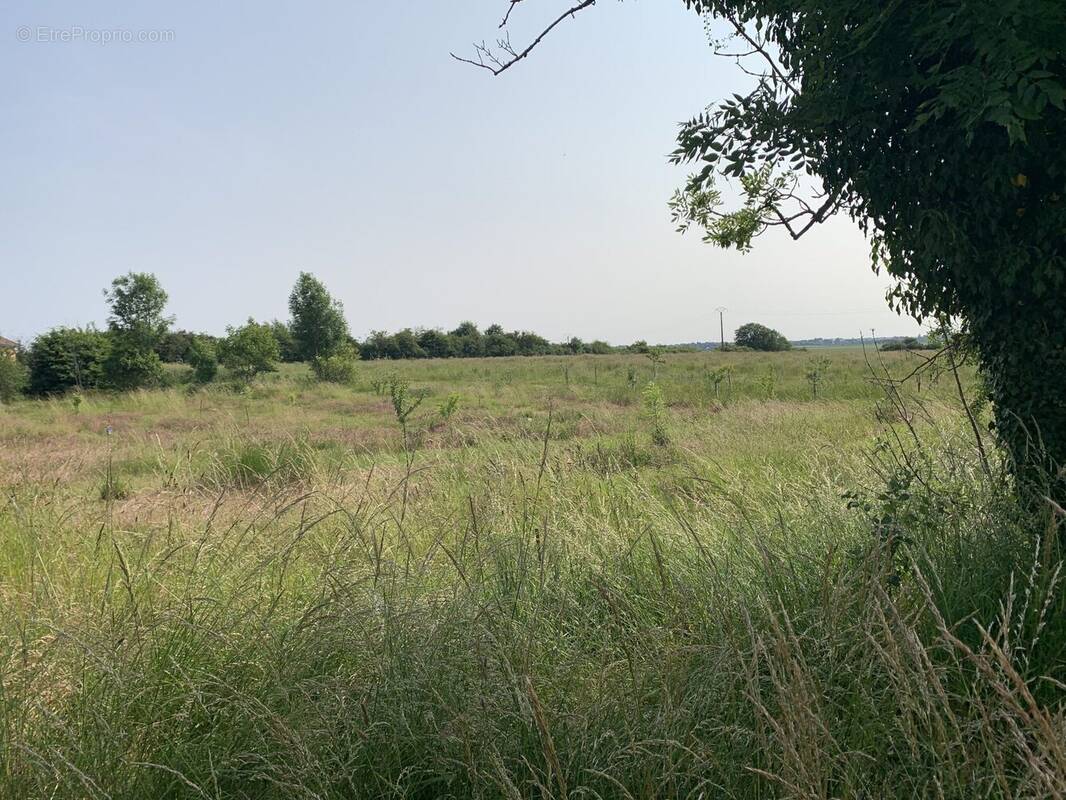 Terrain à PRENOIS