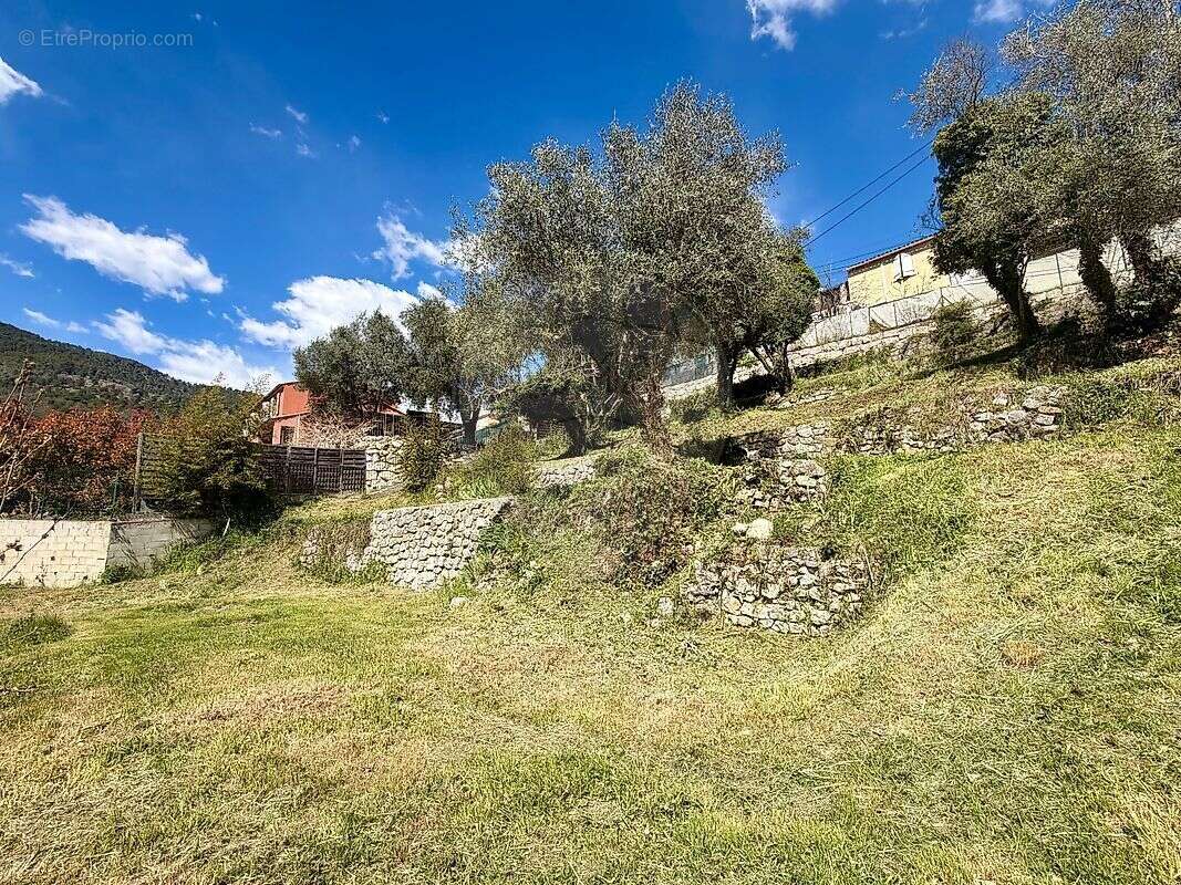 Terrain à TOURRETTE-LEVENS