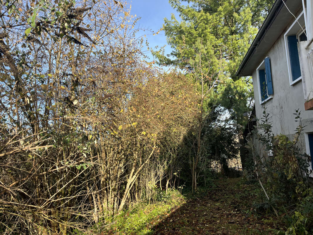 Maison à RILLIEUX-LA-PAPE