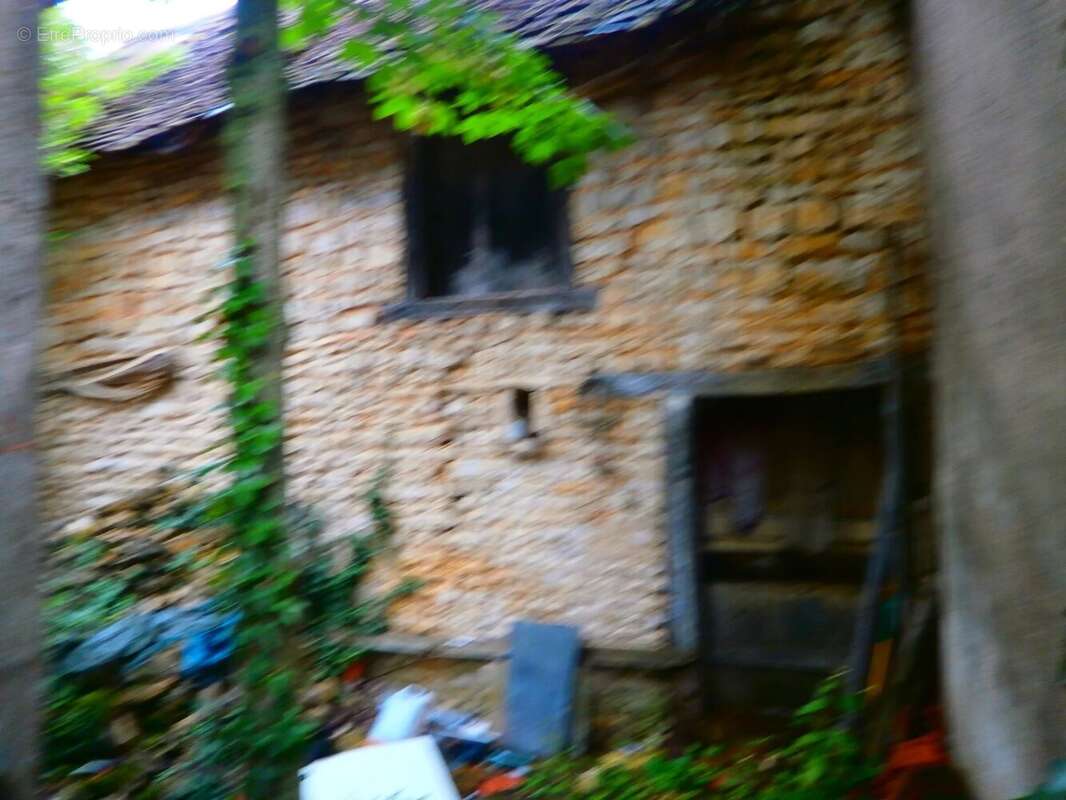 Commerce à LES BORDES