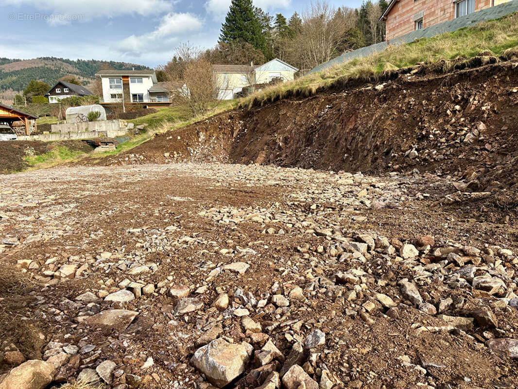 Terrain à RUPT-SUR-MOSELLE