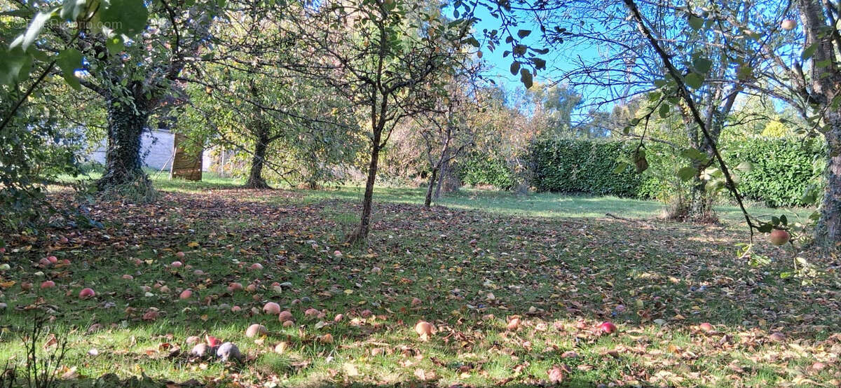 Terrain à JOUY-SUR-MORIN