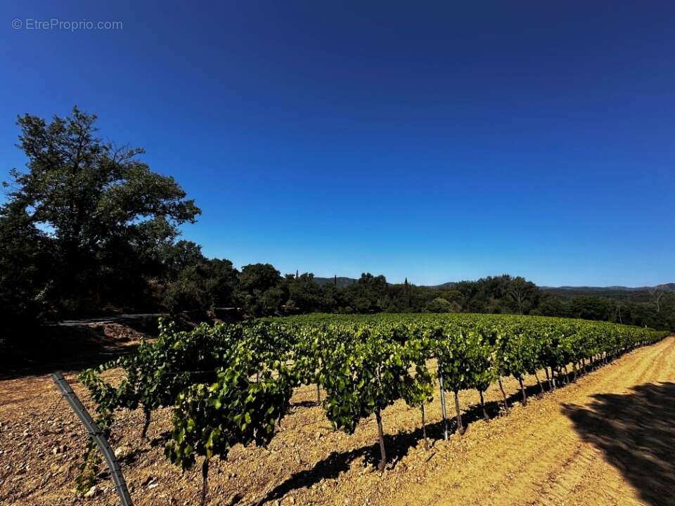 Terrain à SAINT-TROPEZ
