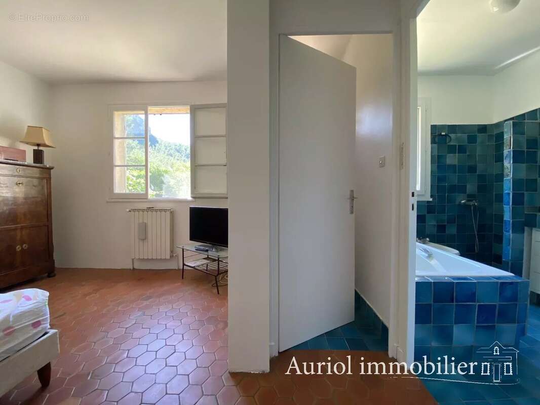 AURIOL - Villa 312 m² sur 9 690 m² de terrain - 3 logements - photo 7