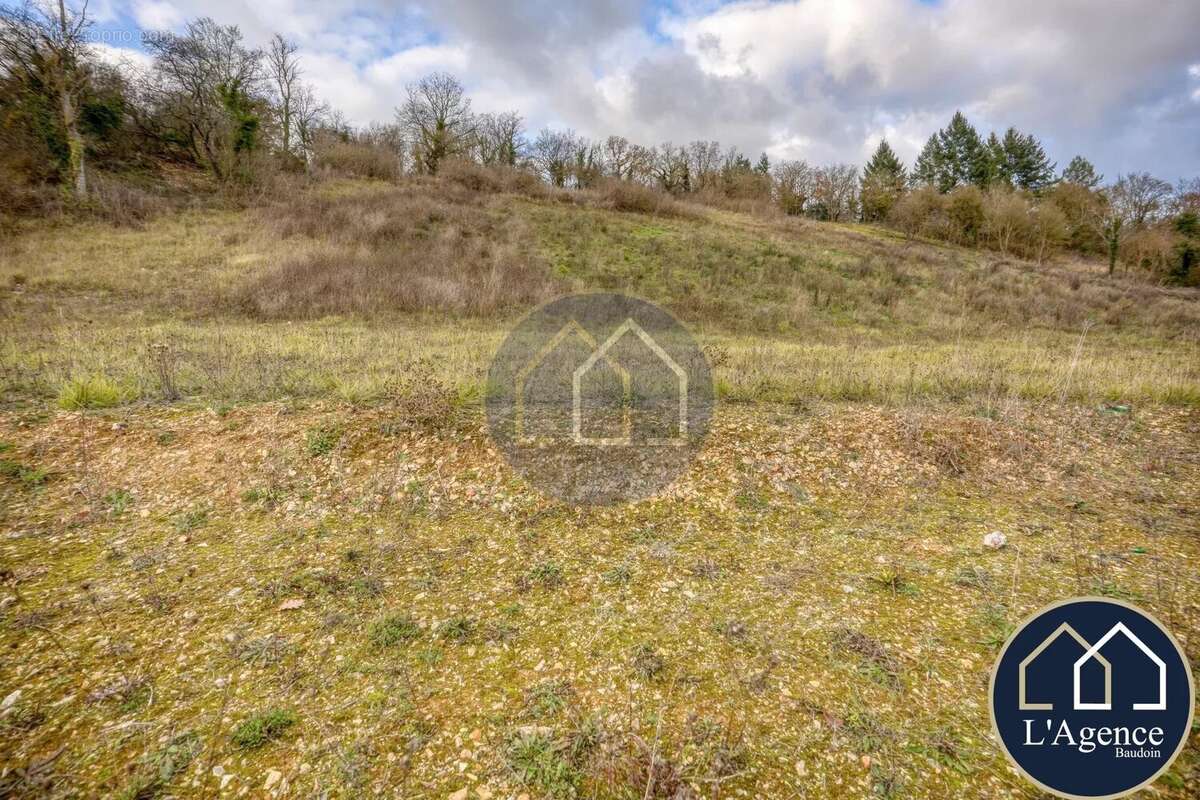 Terrain à NOGENT-LE-ROI