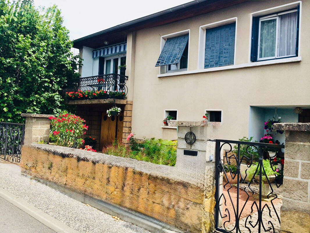 Maison à TASSIN-LA-DEMI-LUNE