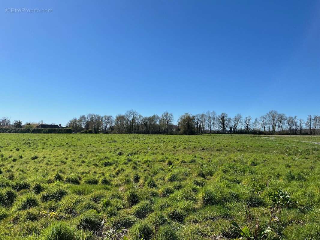 Photo 3 - Terrain à LA FORCE