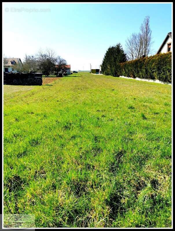 Terrain à PRINGY