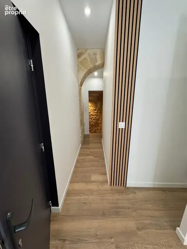 Appartement T1bis duplex Saint Michel - photo 15