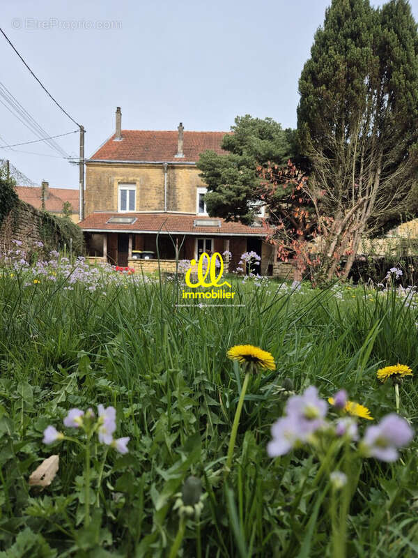 Maison 208 m² à Sapogne-Et-Feucheres  - photo 8