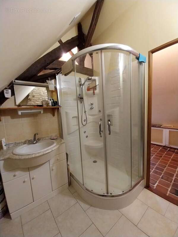 Maison à MEZIERES-EN-BRENNE