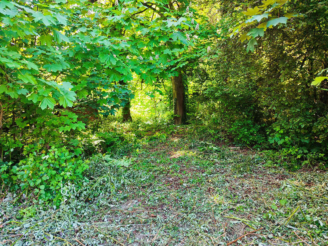 Terrain à PFASTATT