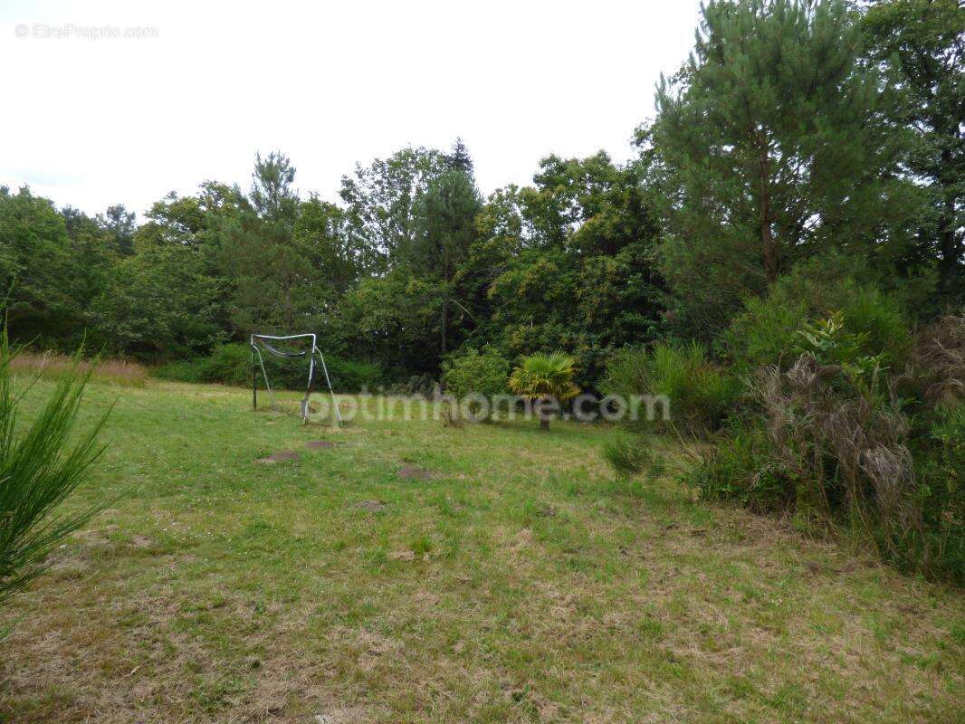 Longère en pierre avec local professionnel et terrain - photo 12