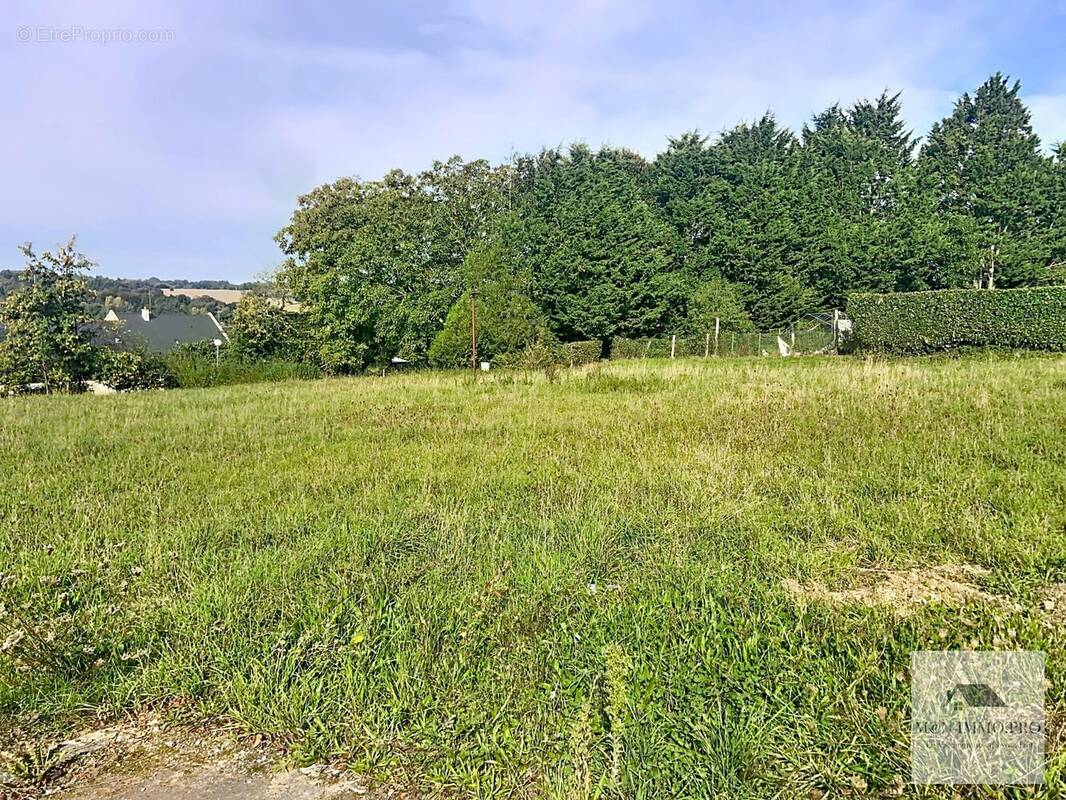 Terrain à ANTRAIN
