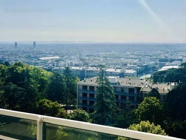 Sainte foy les lyon - photo 2