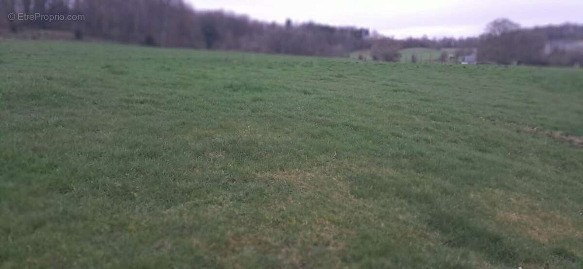 Terrain à GERNELLE