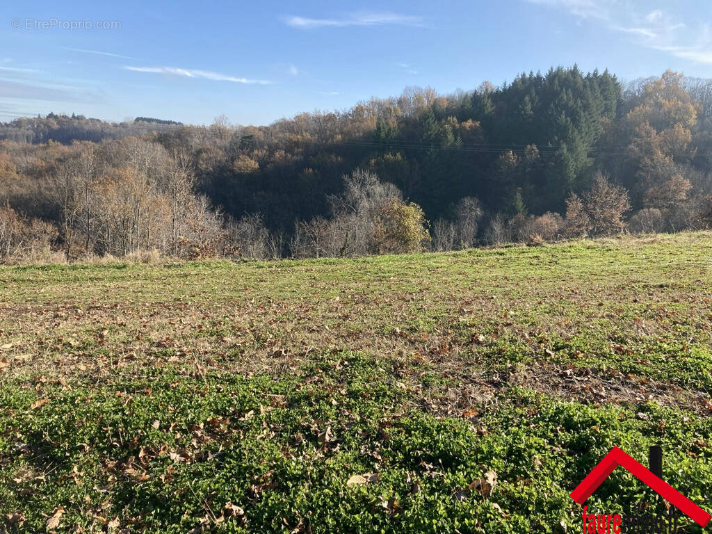 Terrain à SAINT-CYPRIEN