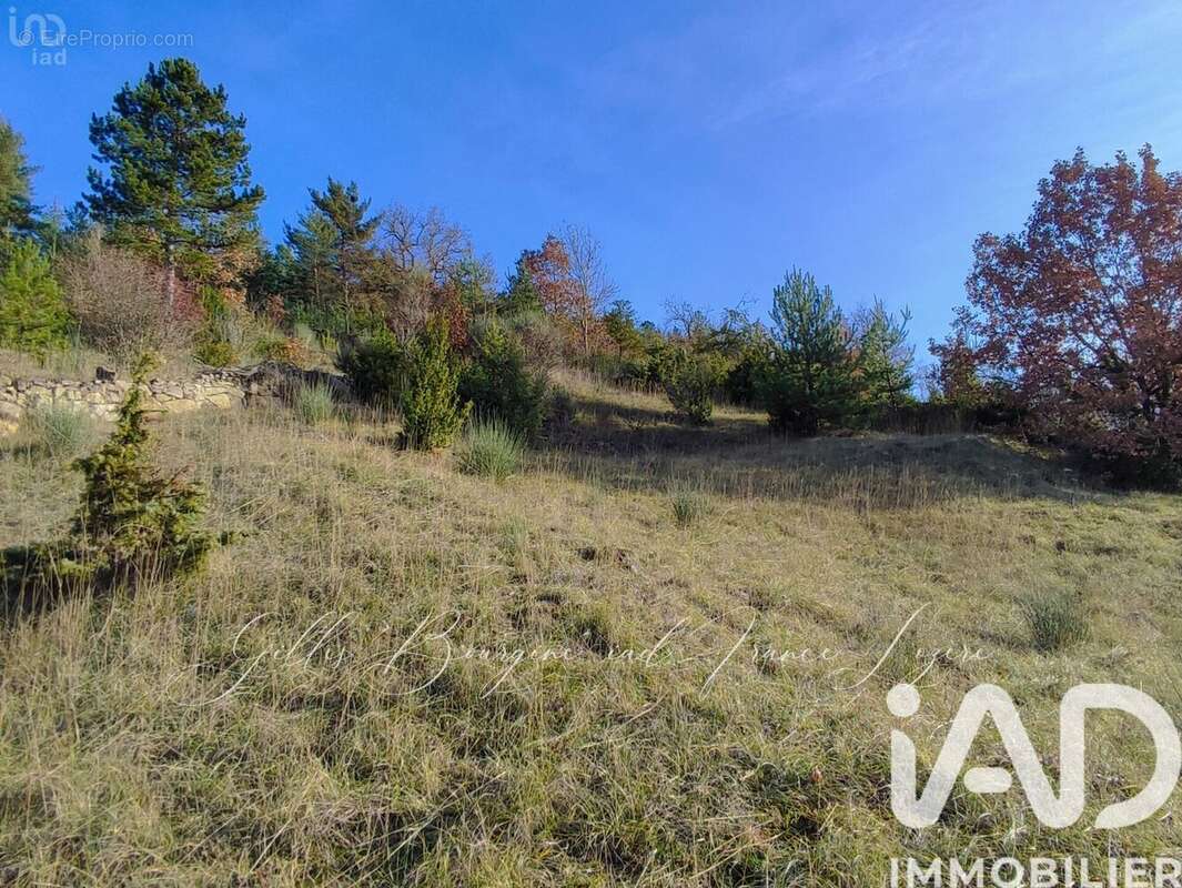 Photo 5 - Maison à PRINSUEJOLS