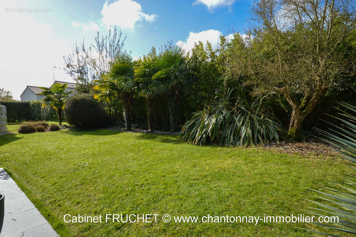 Maison à CHANTONNAY