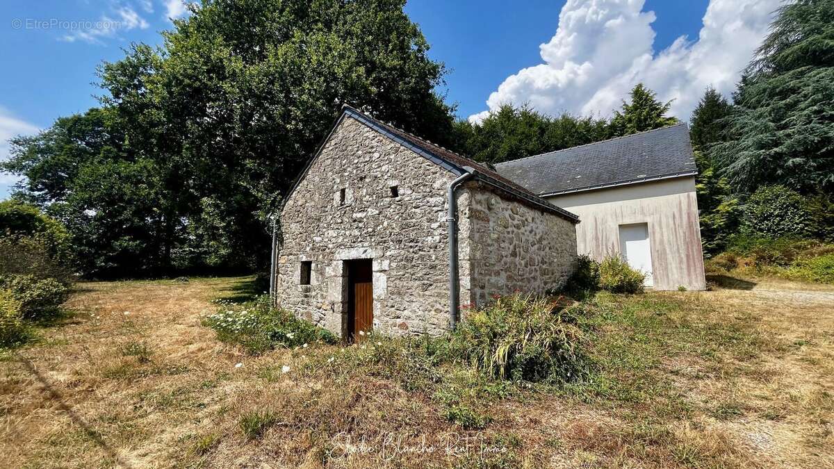 Maison 190 m² à Peaule  - photo 3
