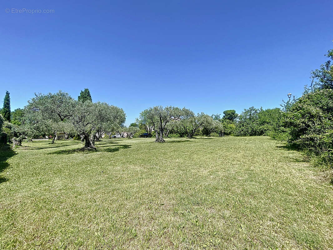 Terrain à PERNES-LES-FONTAINES