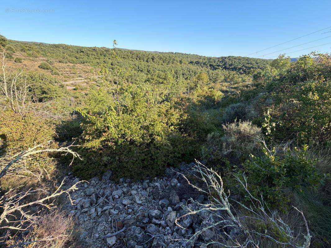 Terrain non constructible - photo 2