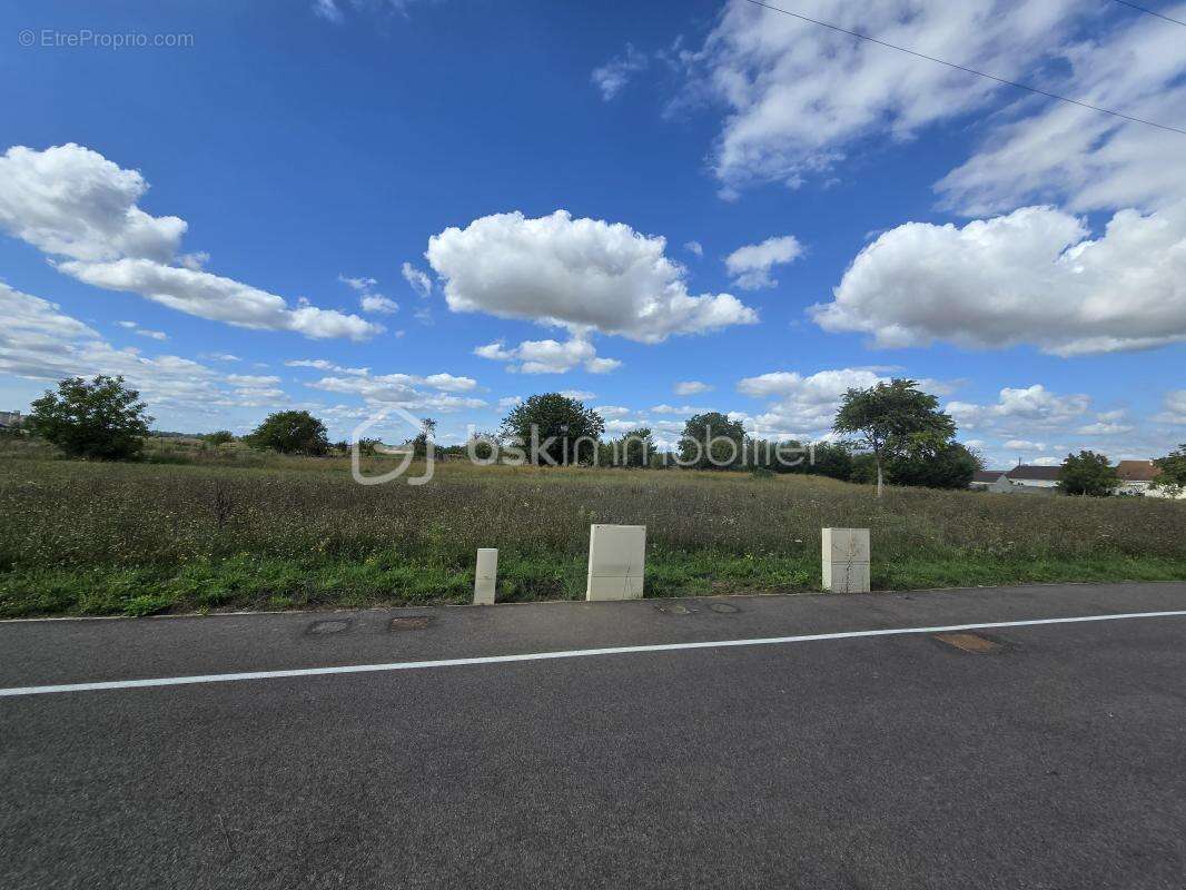 Terrain à COURLON-SUR-YONNE