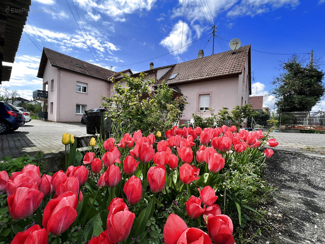 Maison à SAINT-LOUIS