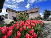 Maison à SAINT-LOUIS
